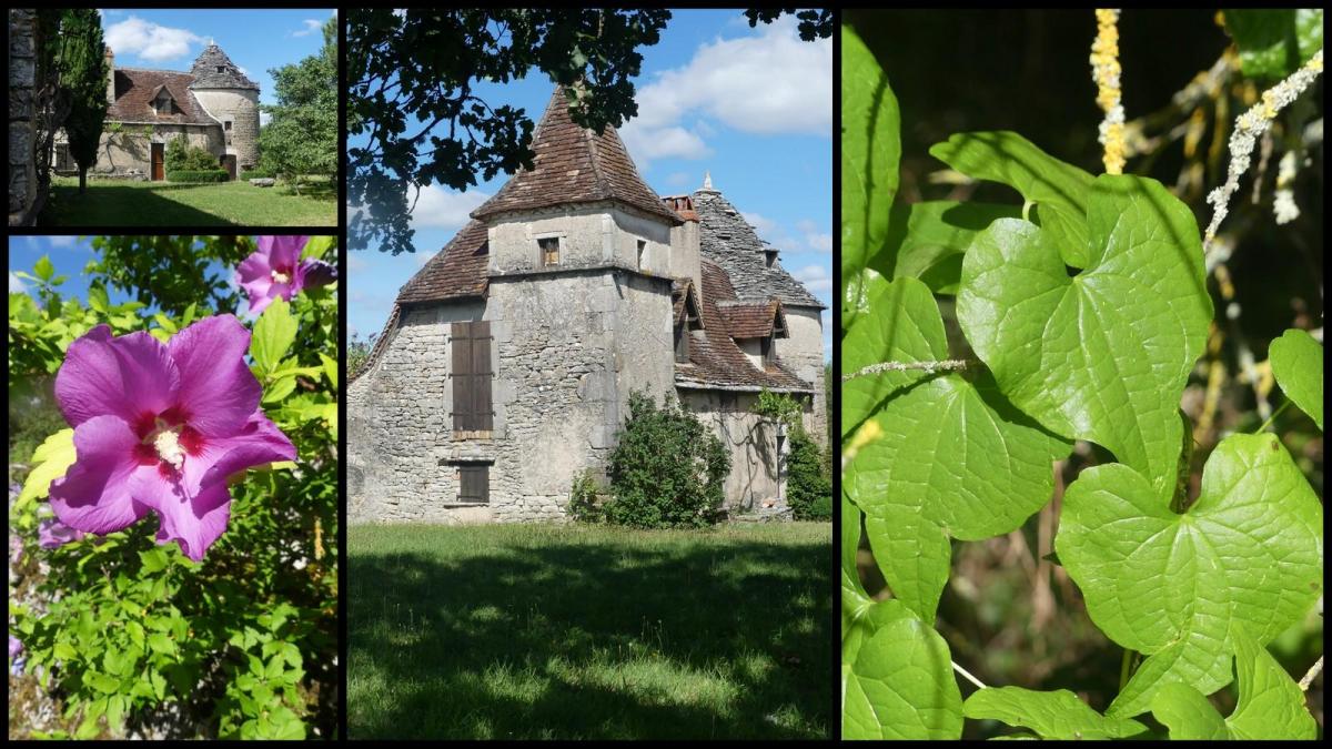 5 juillet 2020 espedaillac27