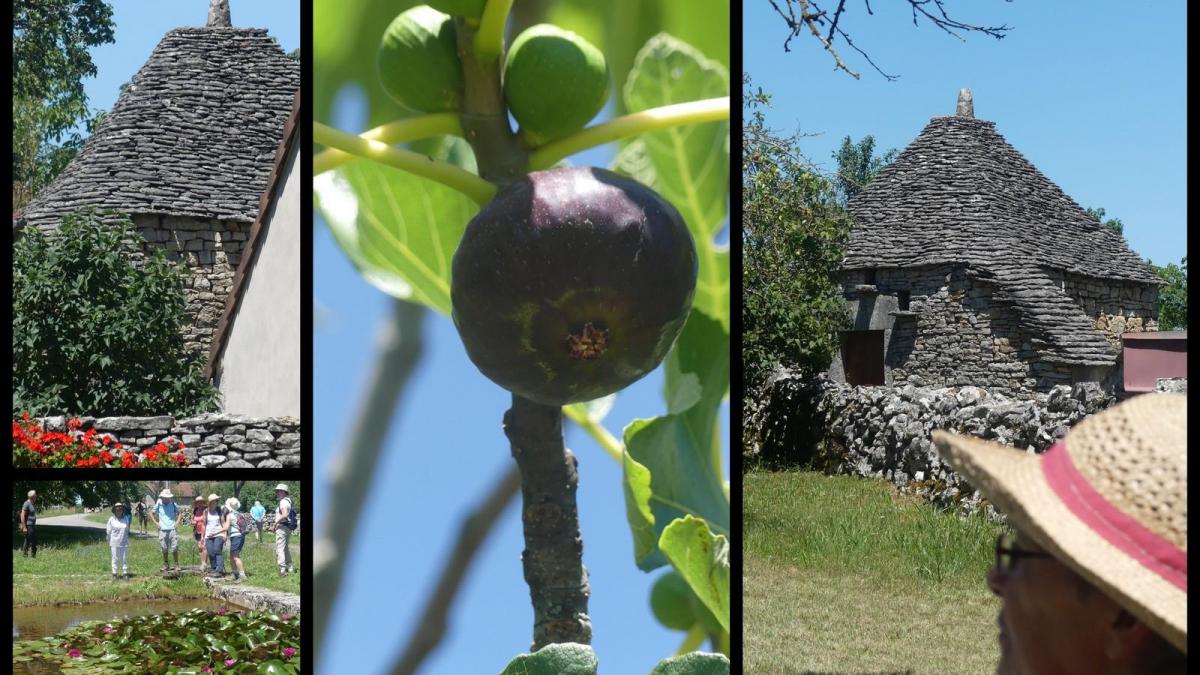 5 juillet 2020 espedaillac3