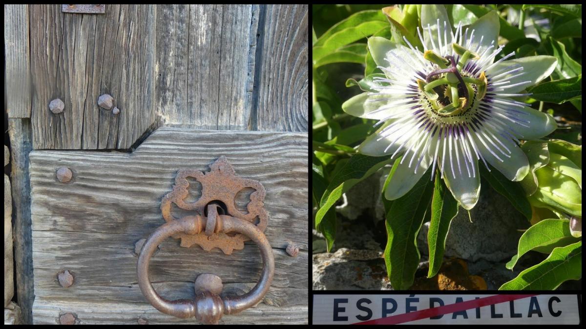 5 juillet 2020 espedaillac35