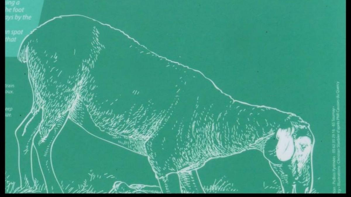 5 juillet 2020 espedaillac6