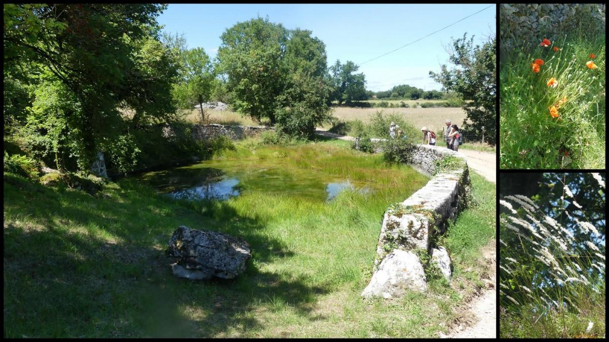 5 juillet 2020 espedaillac7