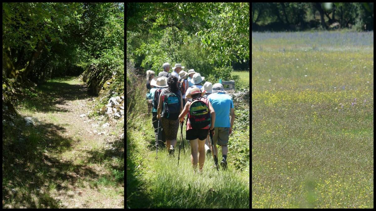 5 juillet 2020 espedaillac8