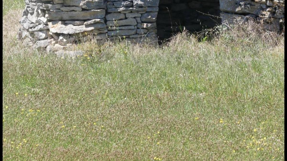 5 juillet 2020 espedaillac9