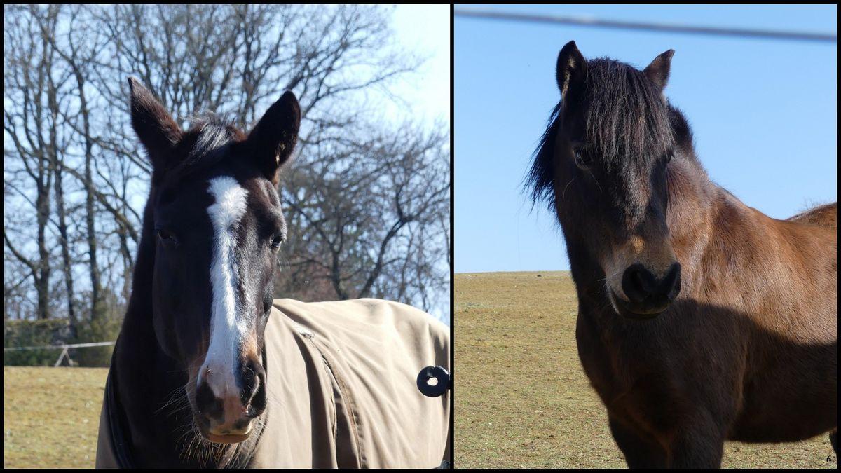 5 mars 23 rando beaumat5 resultat