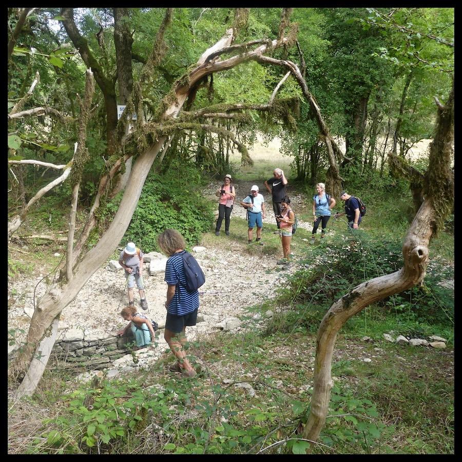 7 sept 25 rando larnagol6