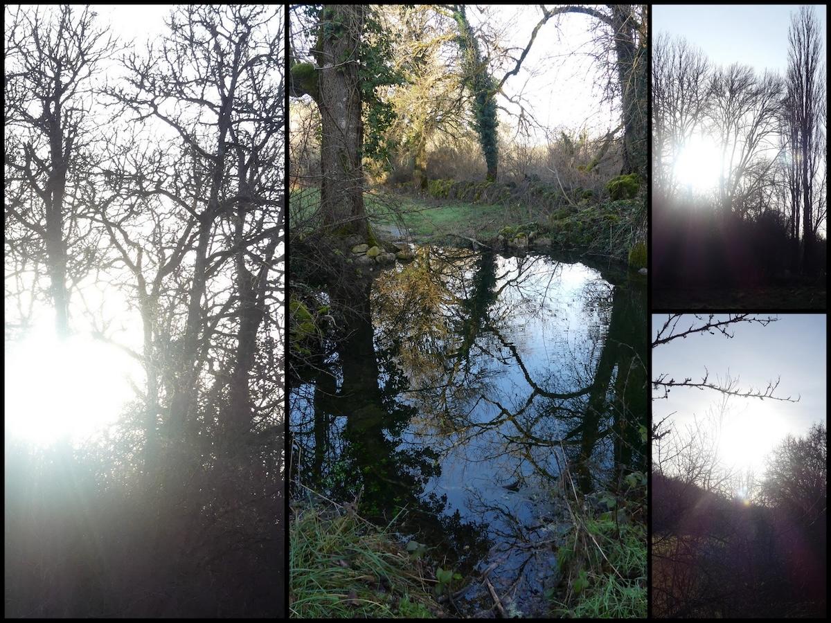 Cieurac 11 janvier 20268