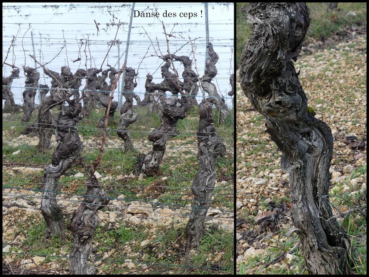 Flottes 1er fe vrier 20269