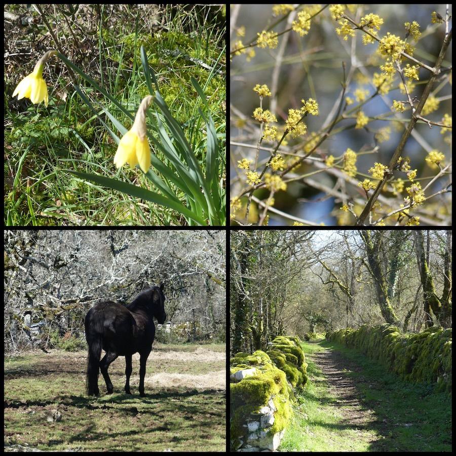 Ginouillac 1er mars 20261