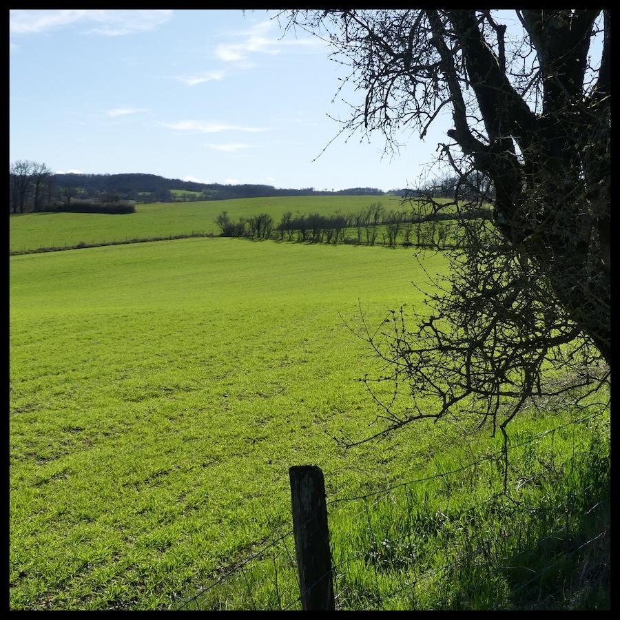 Ginouillac 1er mars 202611