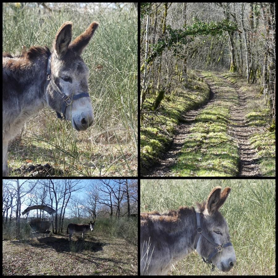 Ginouillac 1er mars 20263