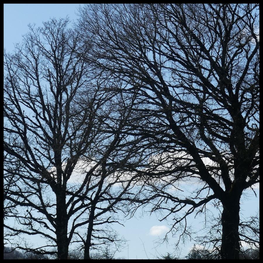 Ginouillac 1er mars 20264