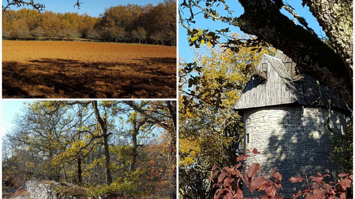 Img 20171119 211540729