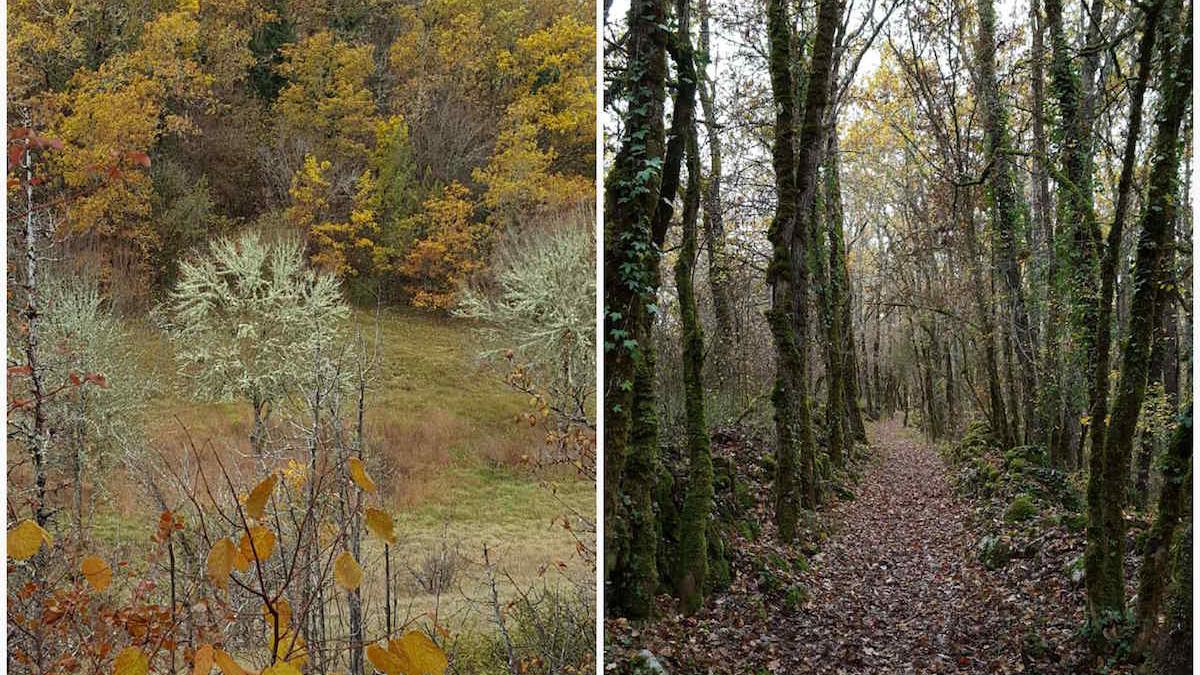 Img 20171119 213402877