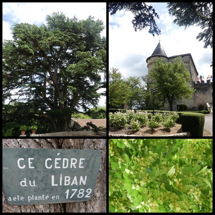 Mercues 17 mai 20265