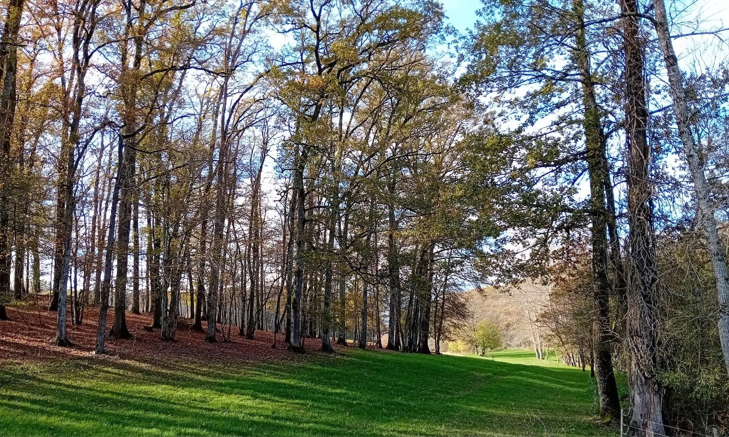 Monique whatsapp image 2025 11 16 at 20 26 02 2