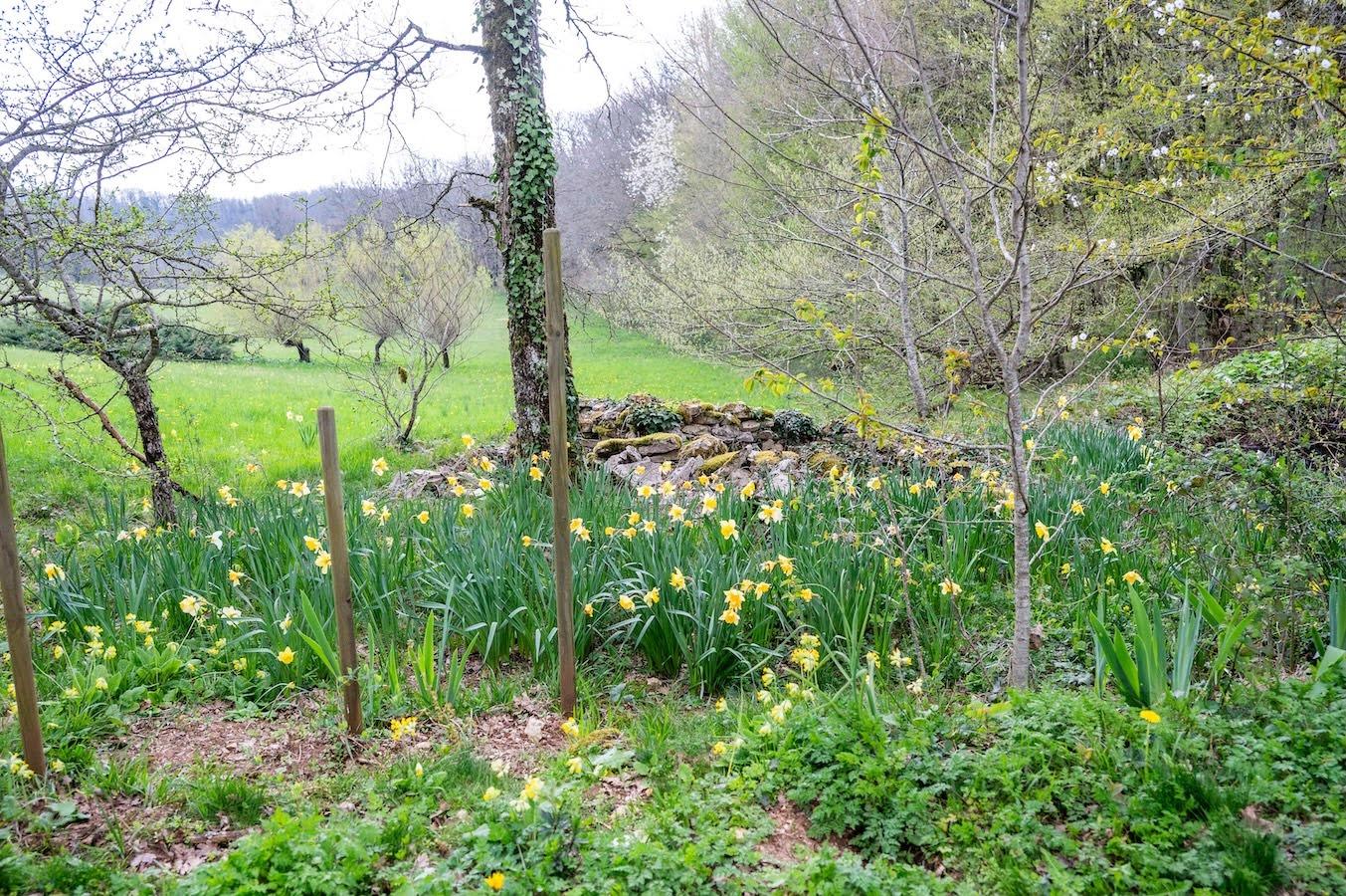 Montamel 22032026 23