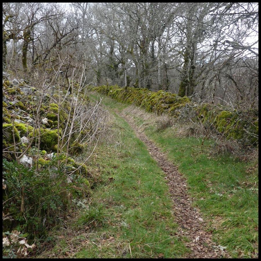 Montgesty 8 fe vrier 202613