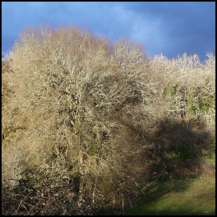 Montgesty 8 fe vrier 202615