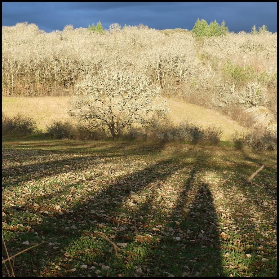 Montgesty 8 fe vrier 202620