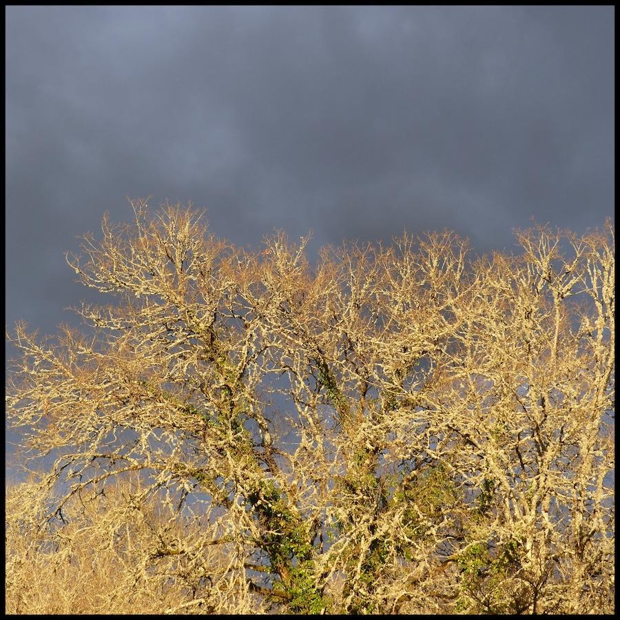 Montgesty 8 fe vrier 202622