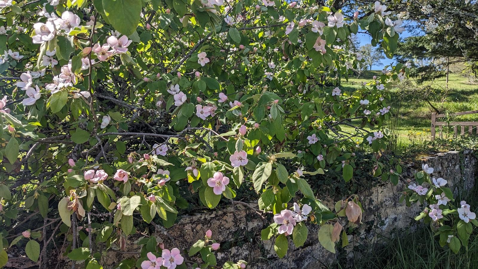 Pxl 20260406 135212799