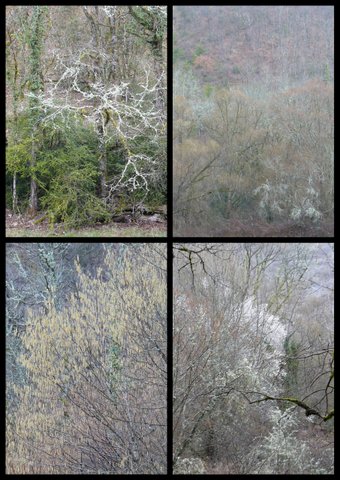 Rando 12 mars 2017 st pierre de liversou10