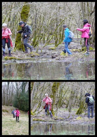 Rando 12 mars 2017 st pierre de liversou4