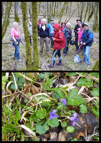 Rando 12 mars 2017 st pierre de liversou5