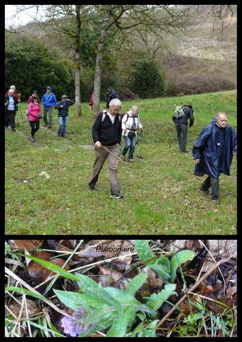 Rando 12 mars 2017 st pierre de liversou7