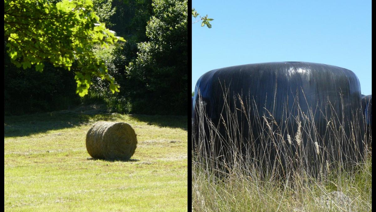 Rando 18 juin 2017 brouelles3