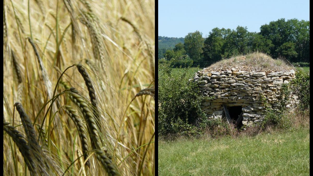 Rando 18 juin 2017 brouelles6