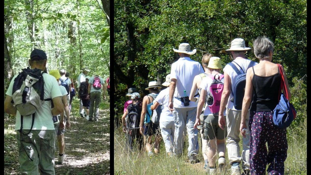 Rando 18 juin 2017 brouelles8