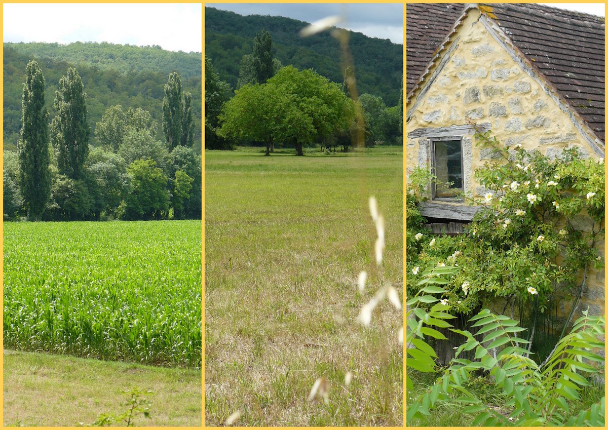 Rando 2 juillet 2017 st germain