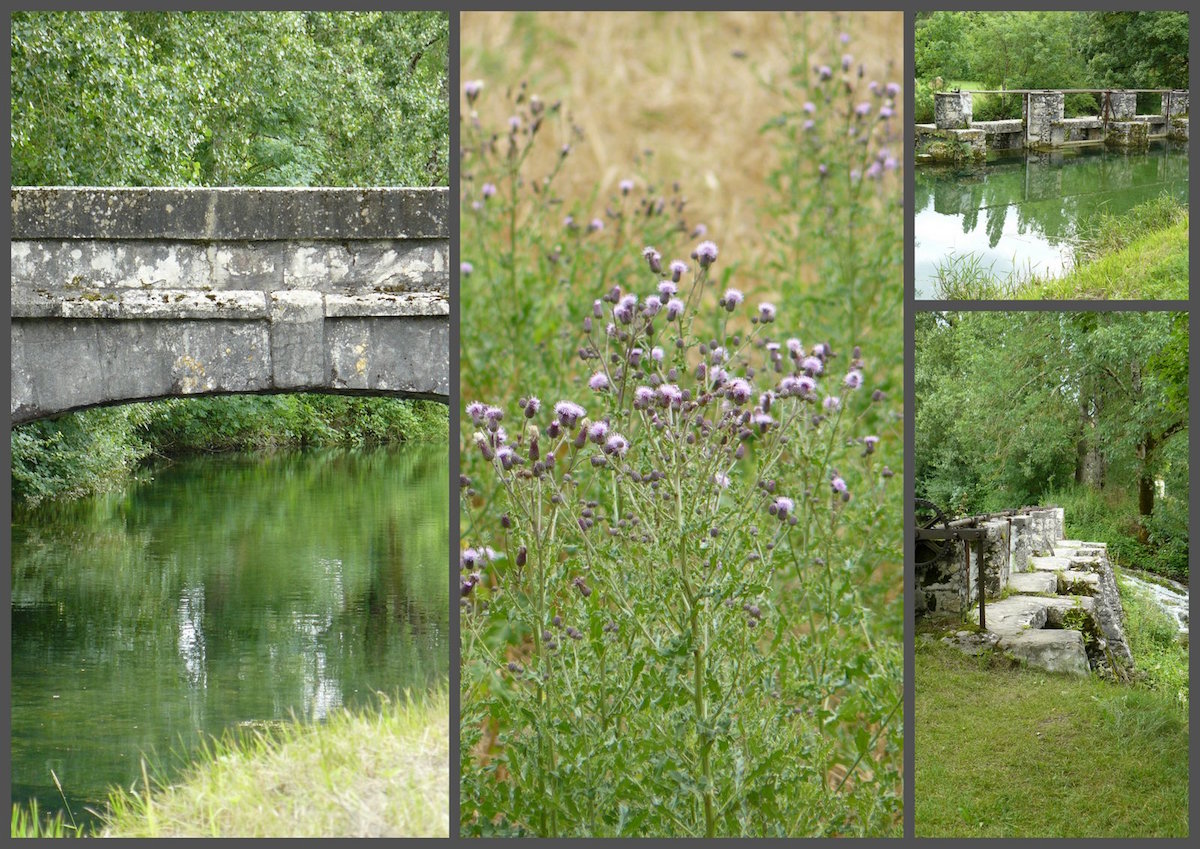 Rando 2 juillet 2017 st germain5