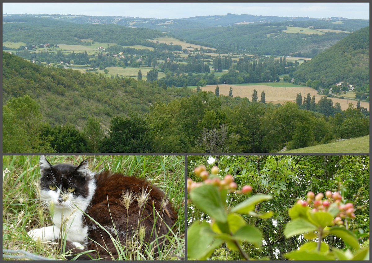 Rando 2 juillet 2017 st germain8