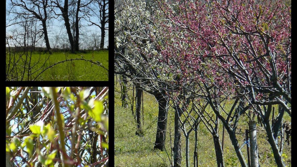 Rando 26 mars 2017 labastide marnhac3