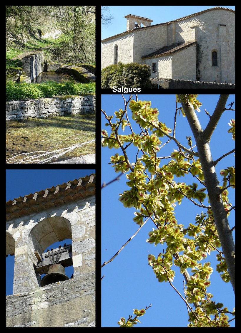 Rando 26 mars 2017 labastide marnhac8