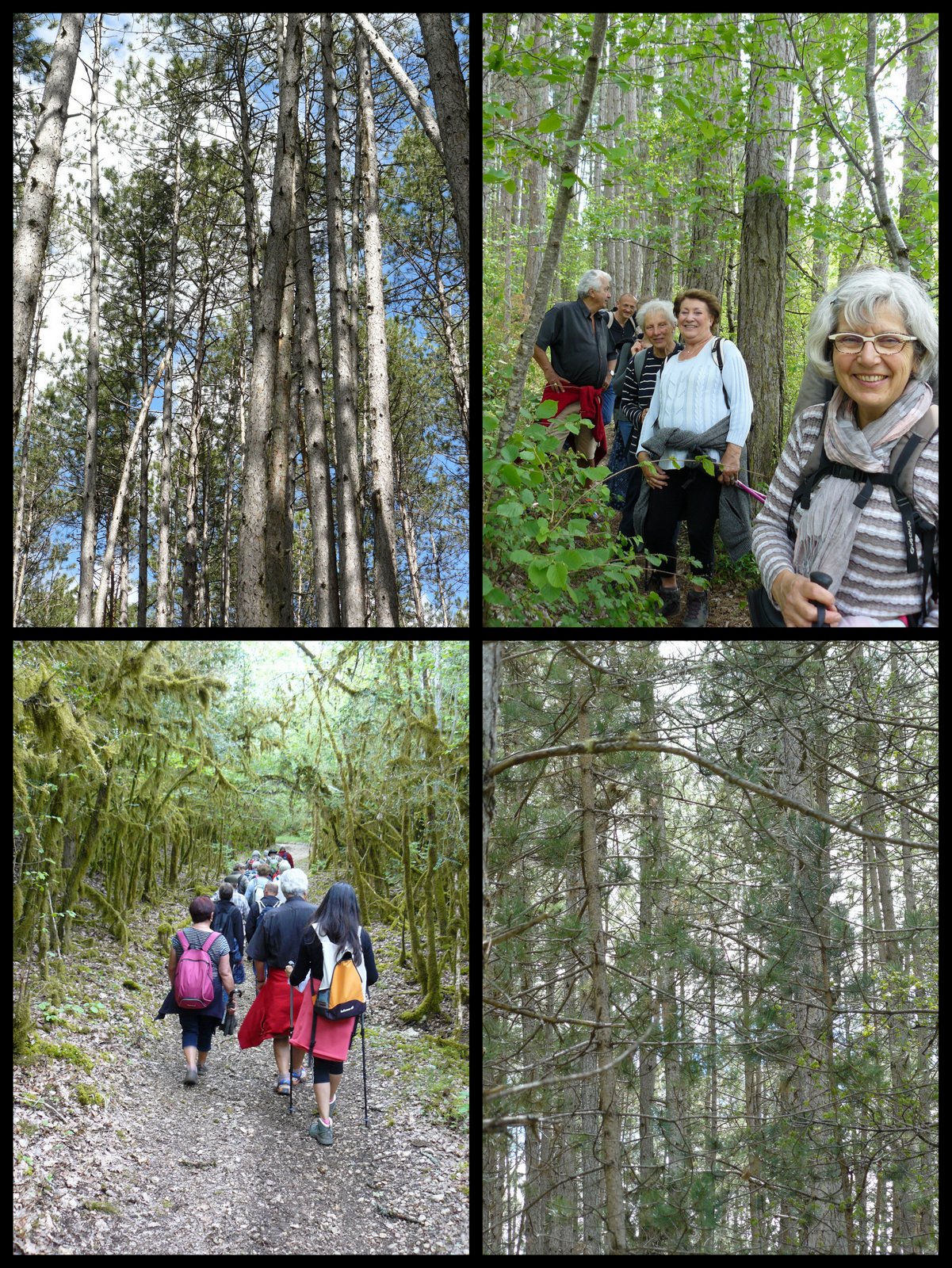 Rando 7 mai 2017 trespoux2