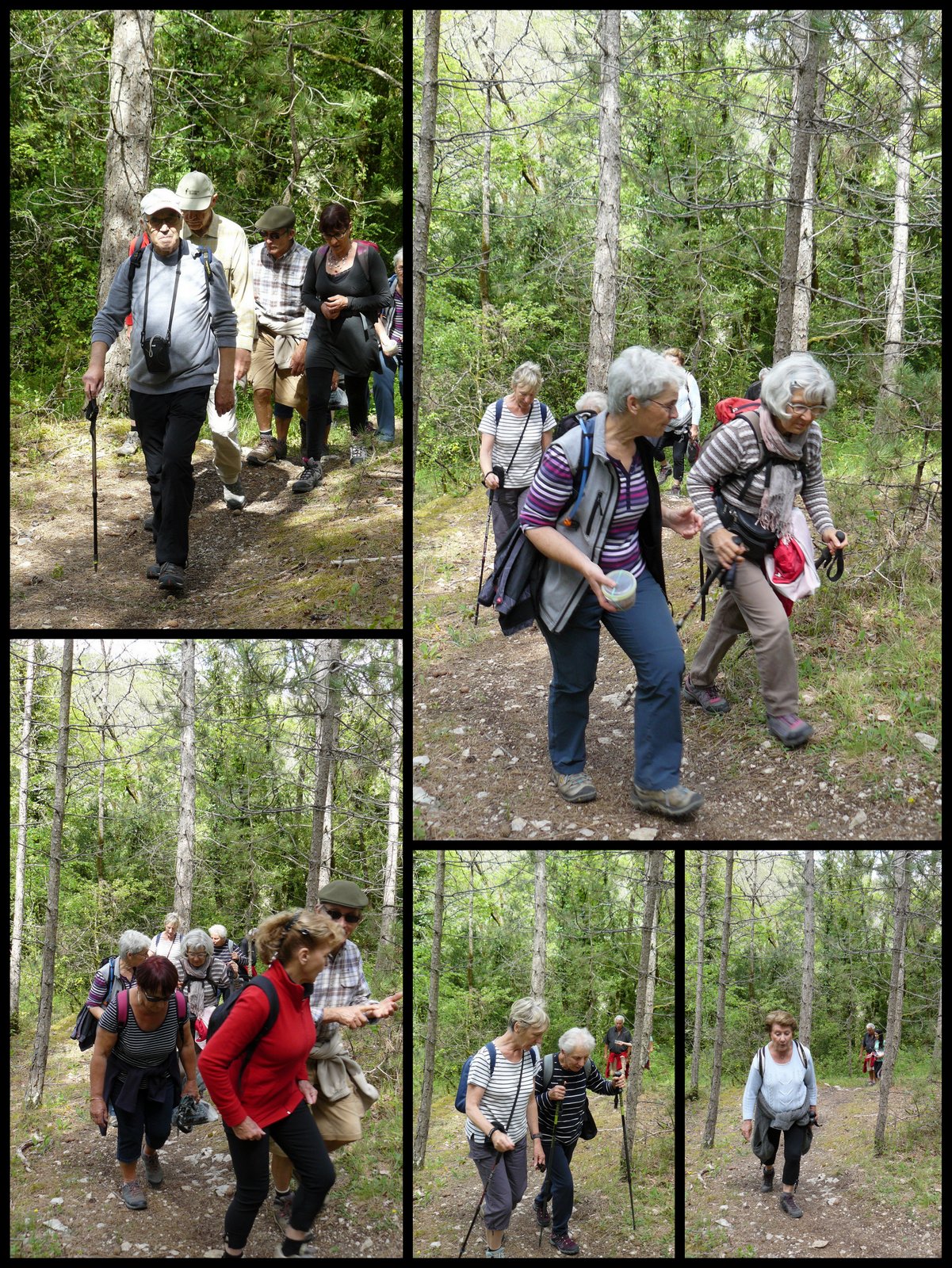 Rando 7 mai 2017 trespoux3