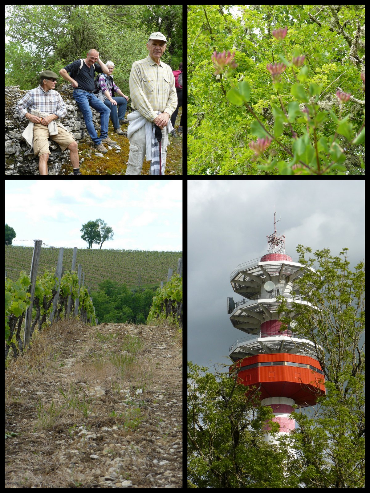 Rando 7 mai 2017 trespoux4
