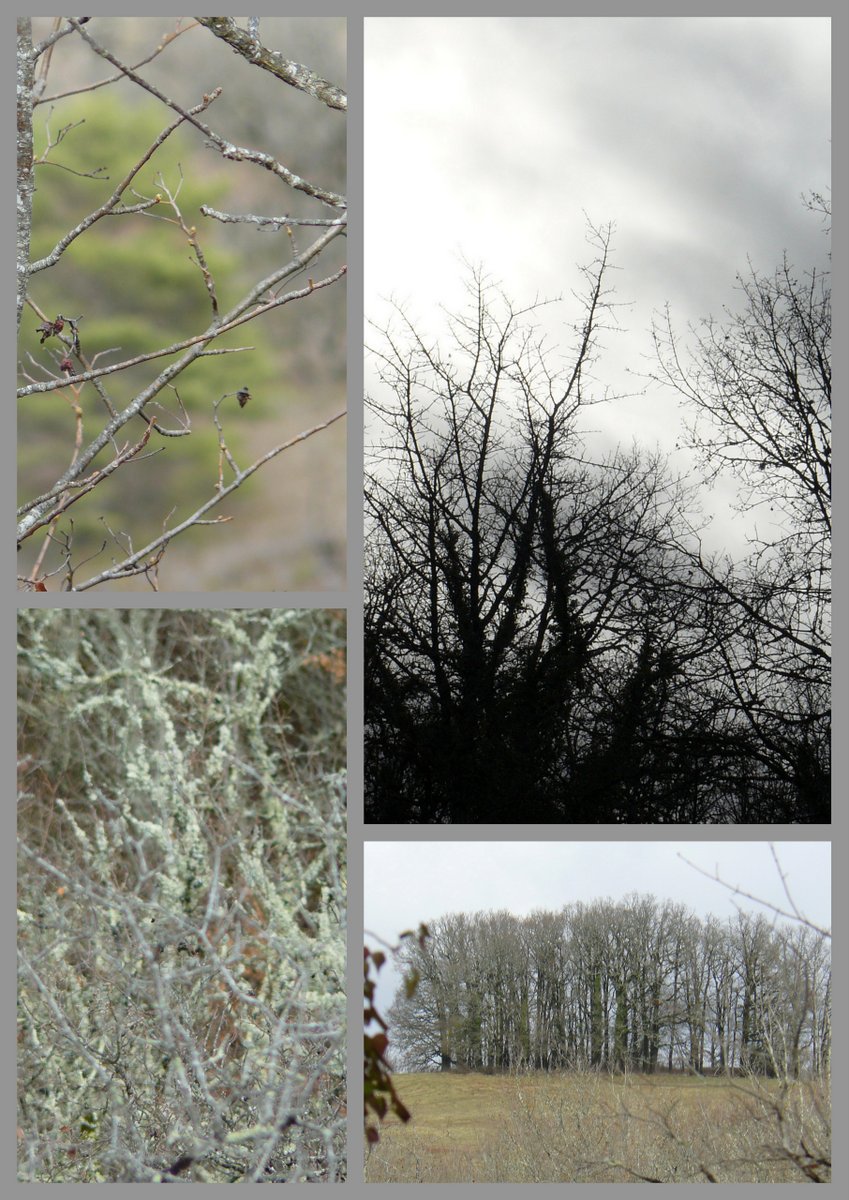 Rando brouelles 4 fe v 20171