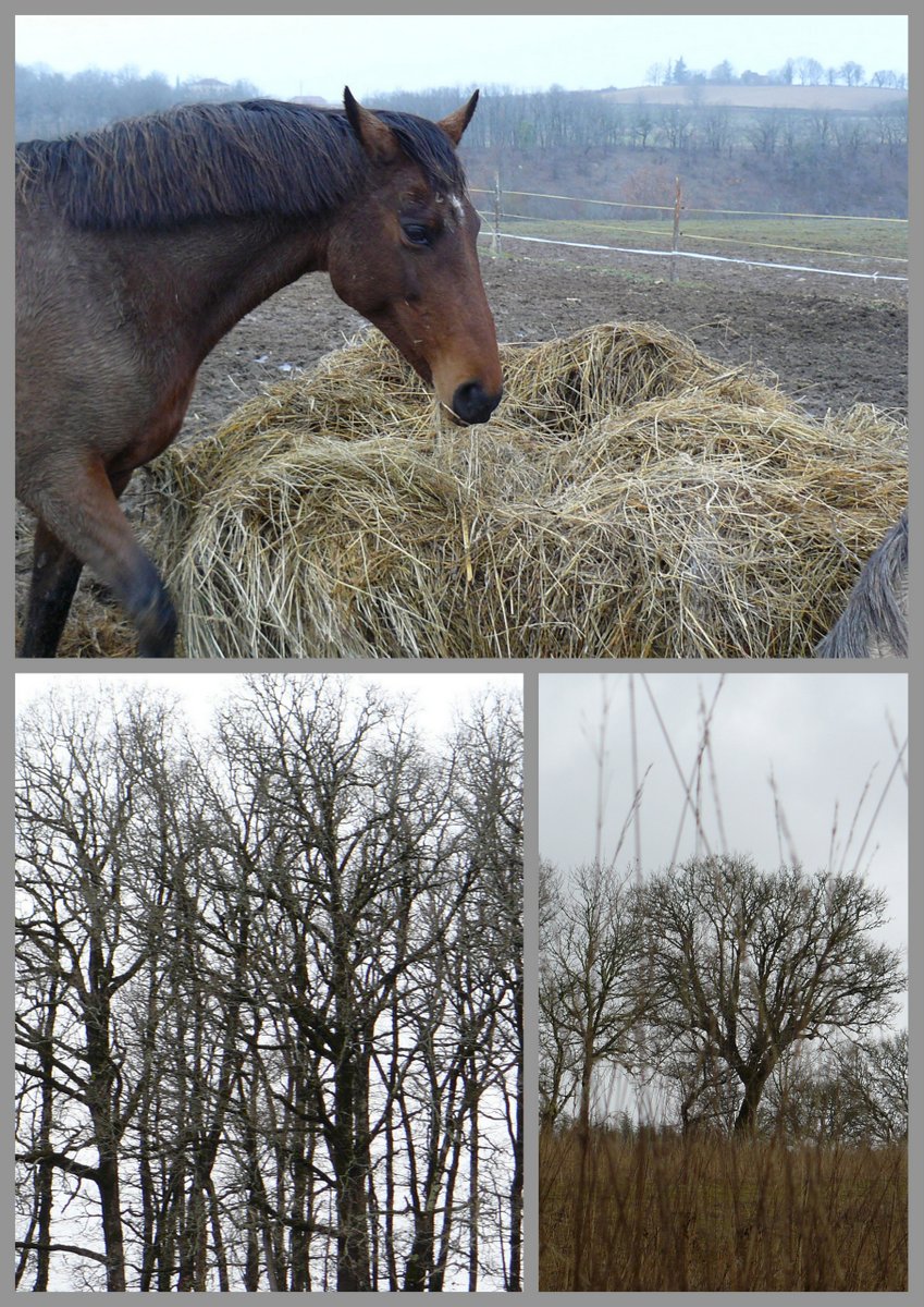 Rando brouelles 4 fe v 20173