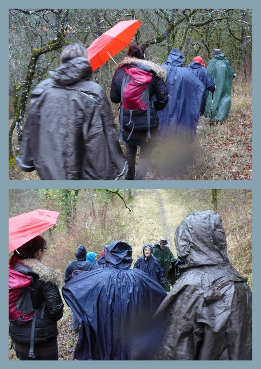 Rando brouelles 4 fe v 20175