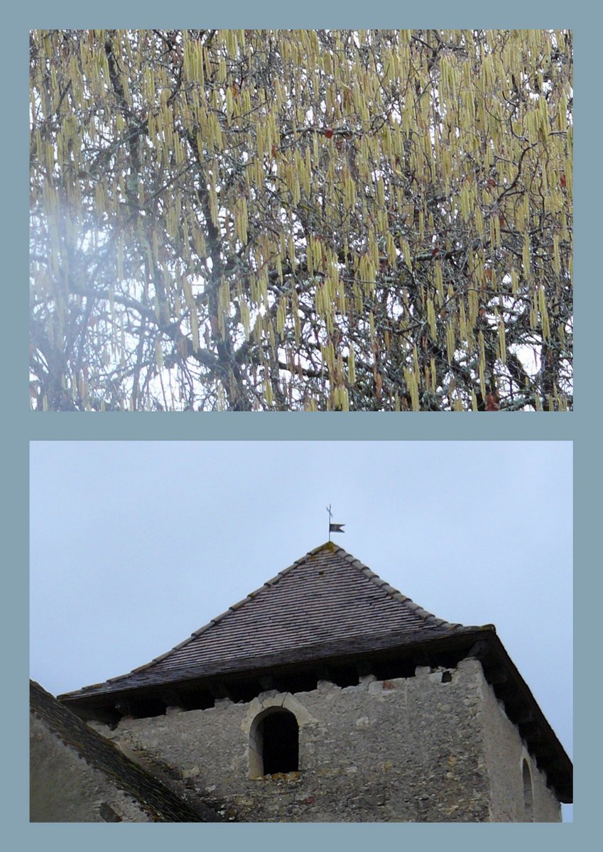 Rando brouelles 4 fe v 20177