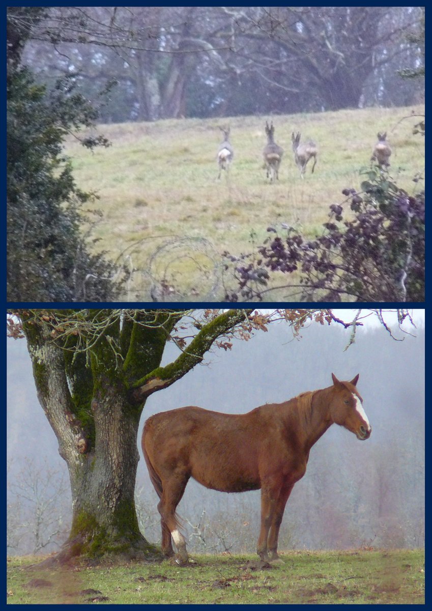 Rando brouelles 4 fe v 20179