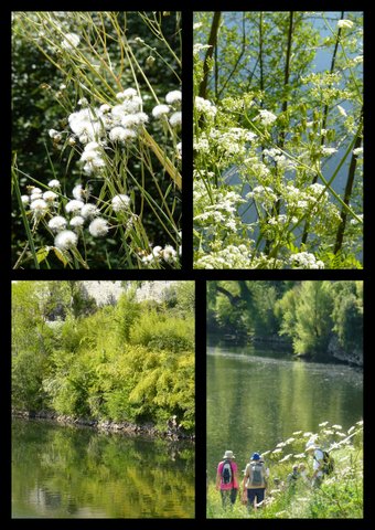 Rando ce nevie res 23 avril 201712