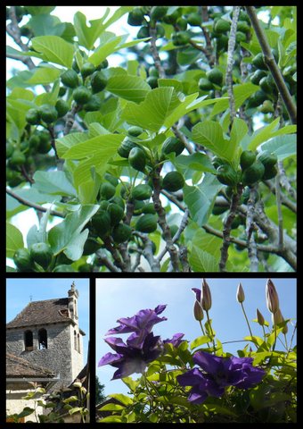 Rando ce nevie res 23 avril 201714