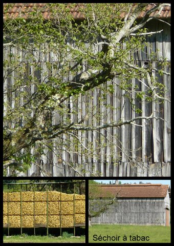 Rando ce nevie res 23 avril 201716