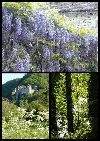 Rando ce nevie res 23 avril 201719