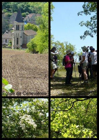 Rando ce nevie res 23 avril 20172